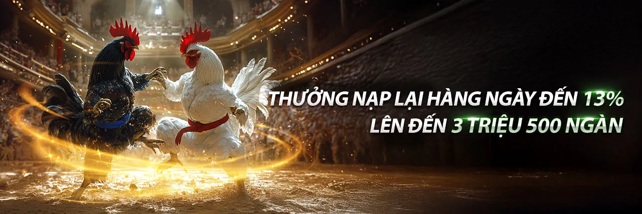 Đá gà 33win01: Trải nghiệm đá gà trực tuyến đỉnh cao