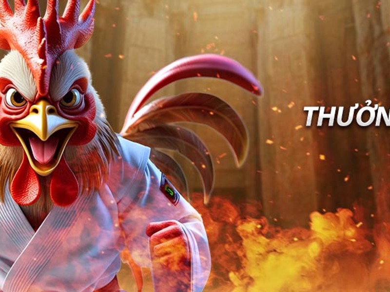 Chia sẻ hiệu quả 33win1, 33win01