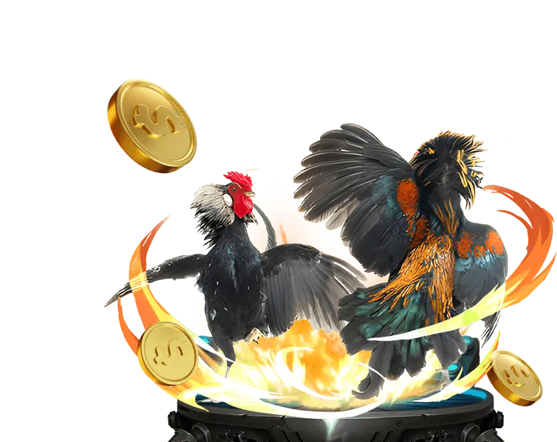 Hình ảnh Đá gà truyền thống ở Việt Nam