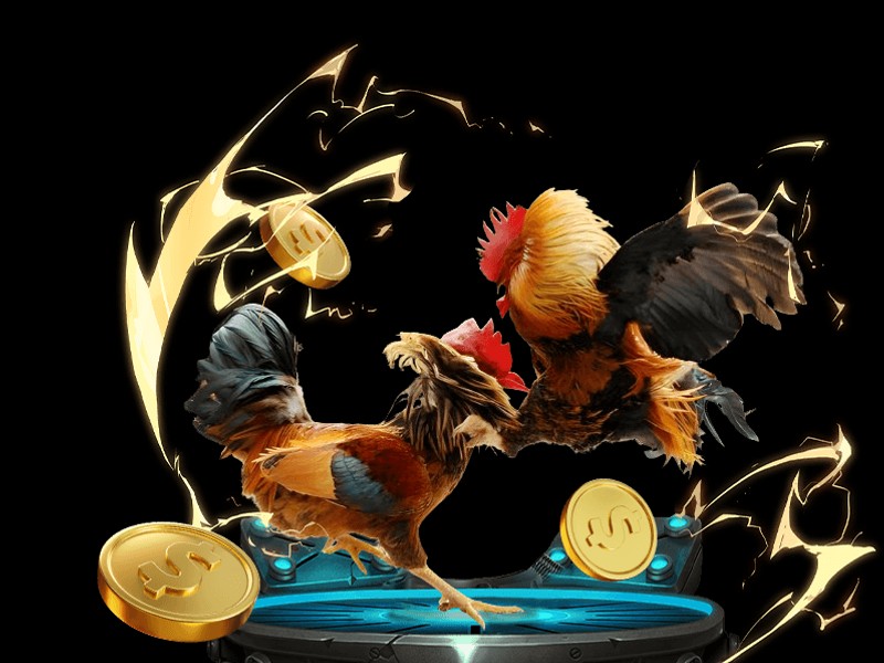 Hải Tặc Bắn Cá