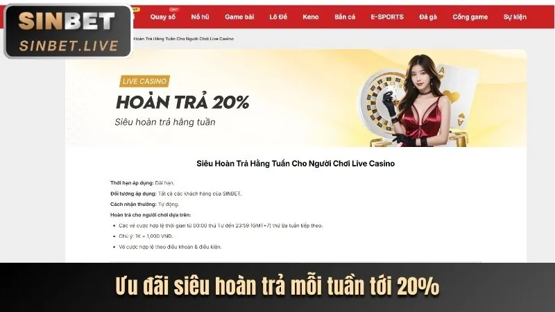Cập nhật ưu đãi hoàn trả VIP tháng 6
